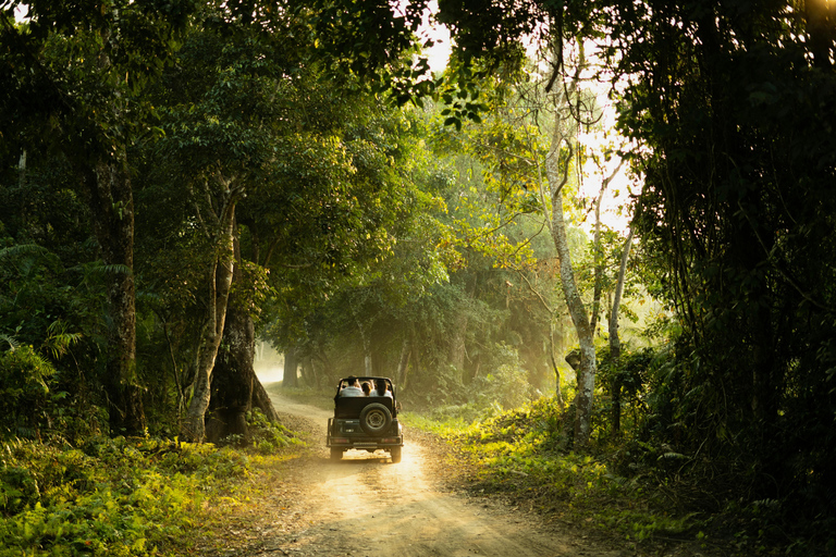 From Kandy: 4-Day Sri Lanka Hill Country Tour with Udawalawe