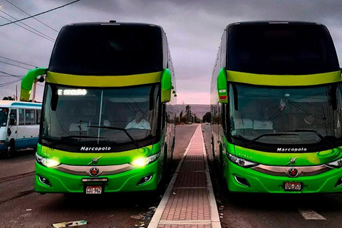 De Cusco: ônibus direto para Puerto Maldonado, ônibus Cama 160°.