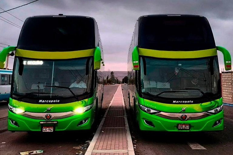 Vanaf Cusco:Directe bus naar Puerto Maldonado Bus Cama 160°.