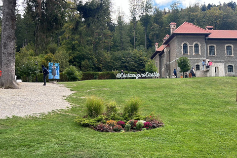 From Bucharest: Sinaia, Bușteni, Brașov, Dracula Castle