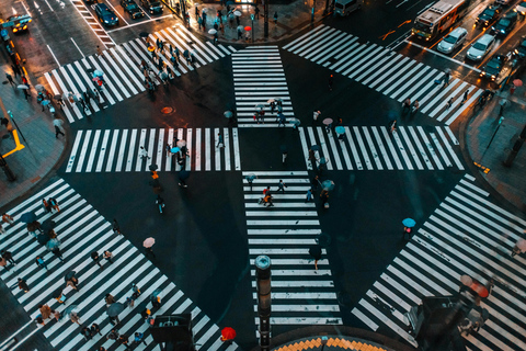 Tour privado de la ciudad de Tokio con conductor de habla inglesa