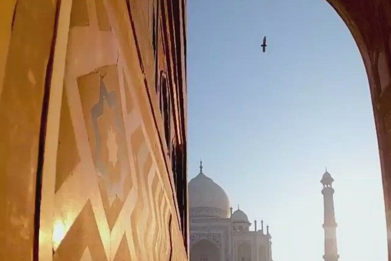 Tour particular com tudo incluído para o Taj Mahal e Agra com traslados