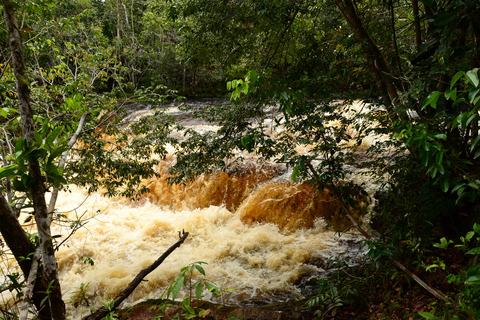 Day Tour Urubuí - Manaus (Presidente Figueiredo)