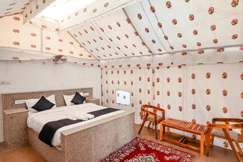 زيارة معالم جيسلمير مع جولة على الجمال ورحلة السفاري في الصحراء وخيارجولة في مدينة جيسالمير مع رحل