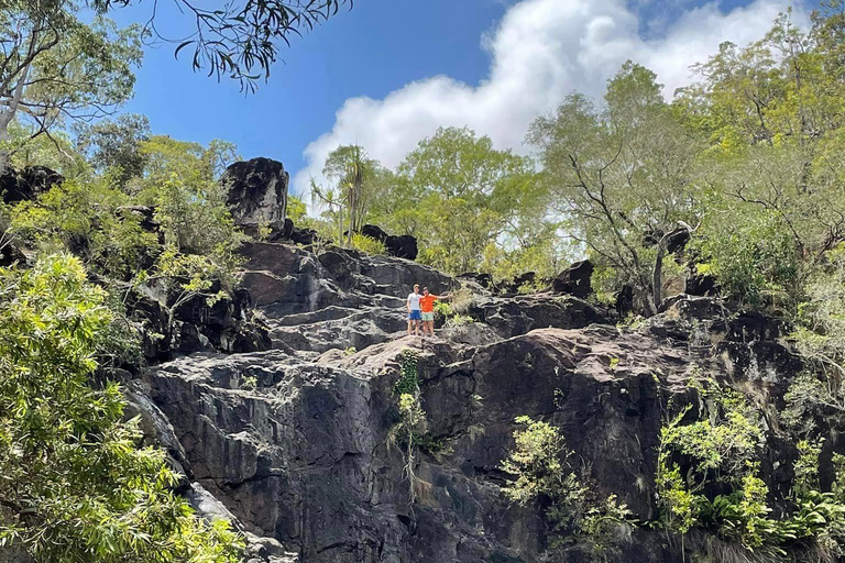 Airlie Beach: Hopper Sightseeing Bus with Lunch