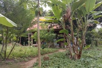 Luang Brabang, Orong Luang Prabang, Foron Fram Propery & Heke to Kuang si - Hizvo