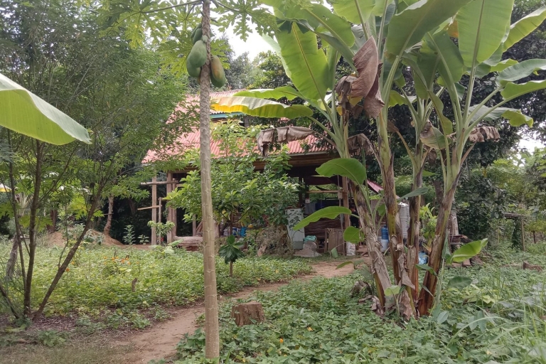 Luang Prabang: Doświadczenie w gospodarstwie ekologicznym i wycieczka do Kuang siPoranny targ, wegańskie jedzenie na farmie i wycieczka do Kuang Si
