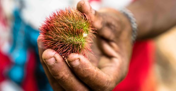 Spice Farm - spice up your life in Zanzibar
