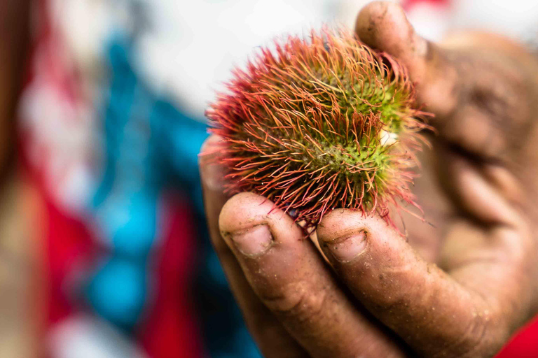 Spice Farm - apimente sua vida em Zanzibar