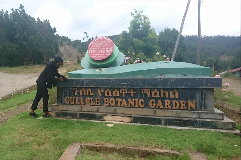Addis: Yeka Cave, Public Transport & Botanic Garden