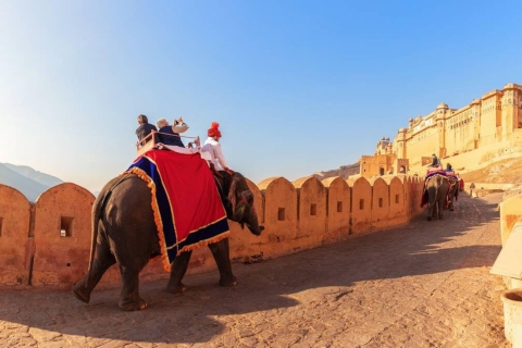 Visita turística de Jaipur de día completo con guíaVisita turística de Jaipur de día completo sólo con conductor