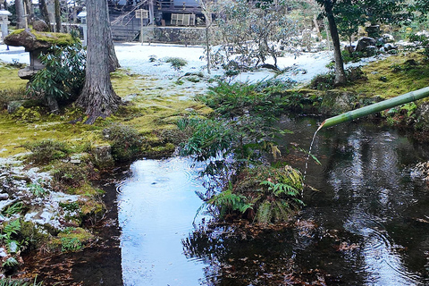Kyoto: Arashiyama, Sanzen-in & Kifune Shrine Day Trip Departure from Osaka (Basic Package)