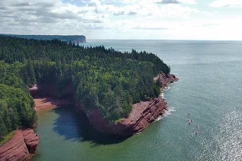 Saint John: Guided Kayaking Tour of St. Martins Sea Caves Sea Caves Half-Day Kayak Tour