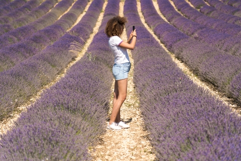 Ab Aix-en-Provence: Halbtägige Lavendel-Tour am Morgen