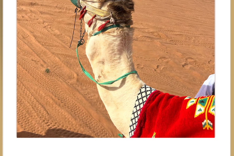 Riyadh : Sand Dune Desert Camel Ride + ATV ( Guide Bike )