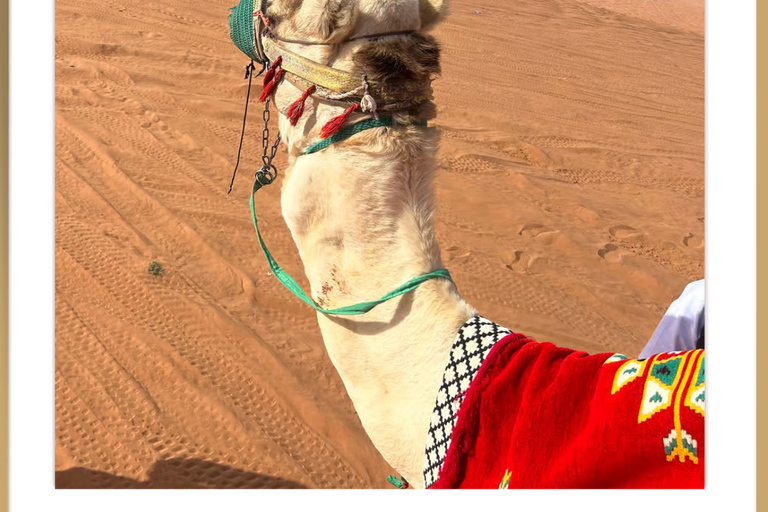 Riyadh : Sand Dune Desert Camel Ride + ATV ( Guide Bike )