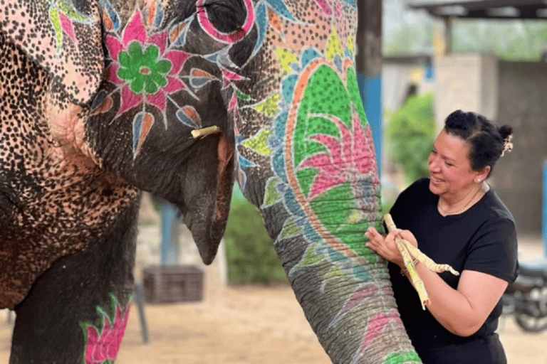 Jaipur Elephant Magic: Paint, Feed & Ride Tour with Pickup All Elephant Activity Riding, Feeding, Painting, Climbing