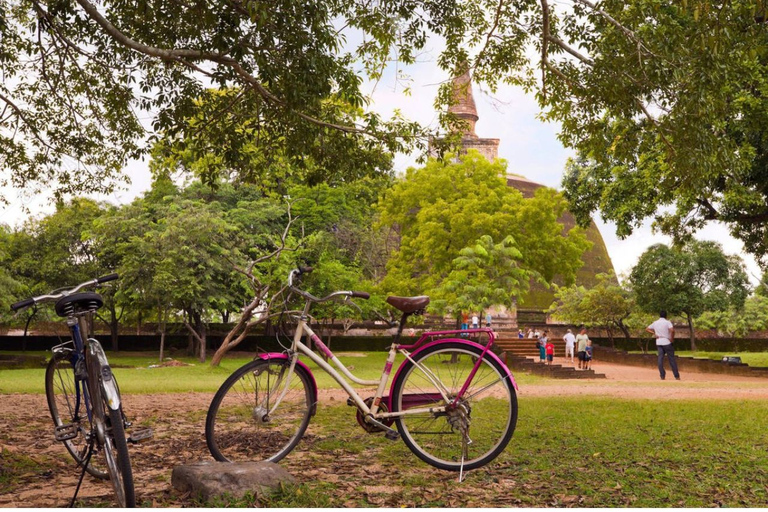 De Dambulla/ Sigiriya : la vieille ville de Polonnaruwa à véloDepuis Dambulla : Ancienne ville de Polonnaruwa à vélo