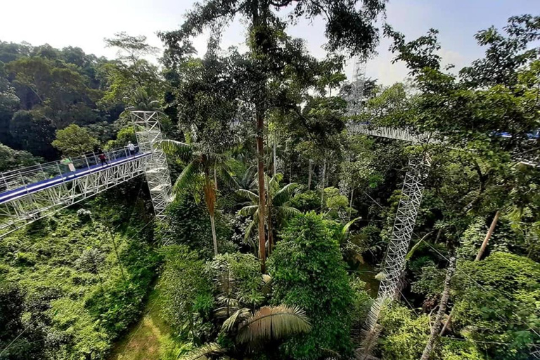 Kuala Lumpur: FRIM (Forest Research Institute Malaysia) Tour Private Tour