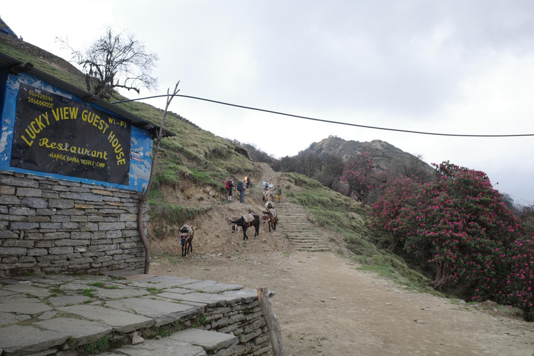 From Pokhara: Mardi Himal Trek with Accommodation and Guide