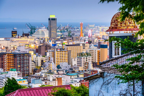 Vanuit Osaka: KOBE 1 dagtour met Engelssprekende chauffeur.