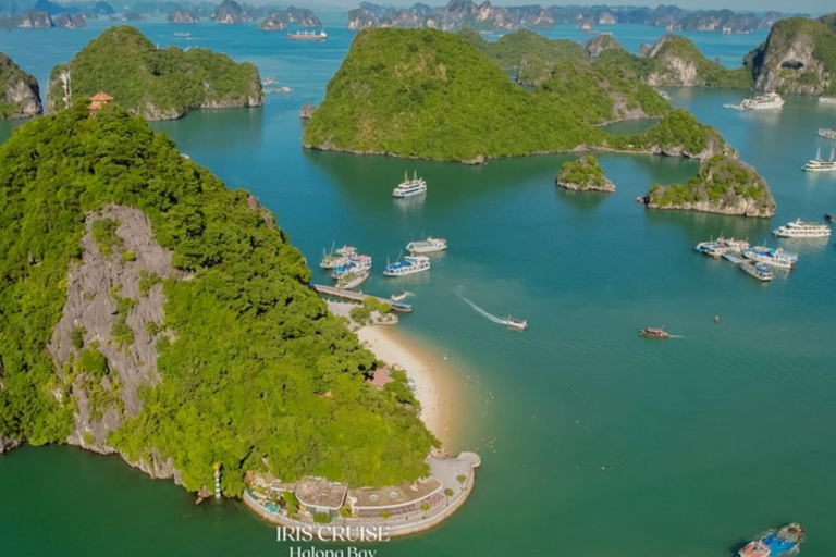 Depuis le port : la meilleure excursion dans la baie d&#039;Along sur le bateau de croisière 5 étoiles LeonaDepuis le port : la meilleure excursion dans la baie d&#039;Along sur le Leona