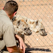 Monarto Safari Park: Keeper for a Day