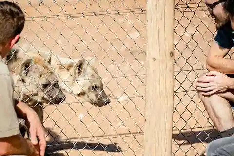 Monarto Safari Park: Keeper for a Day