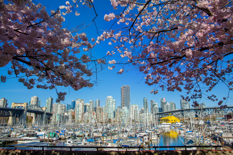 Vancouver : Visite touristique en trolley de la ville et de Granville Island