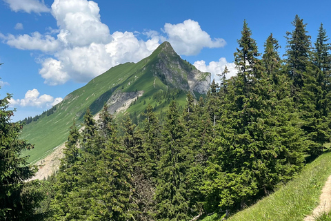 Interlaken: Besteige das Augstmatthorn mit einem Schweizer Triathleten