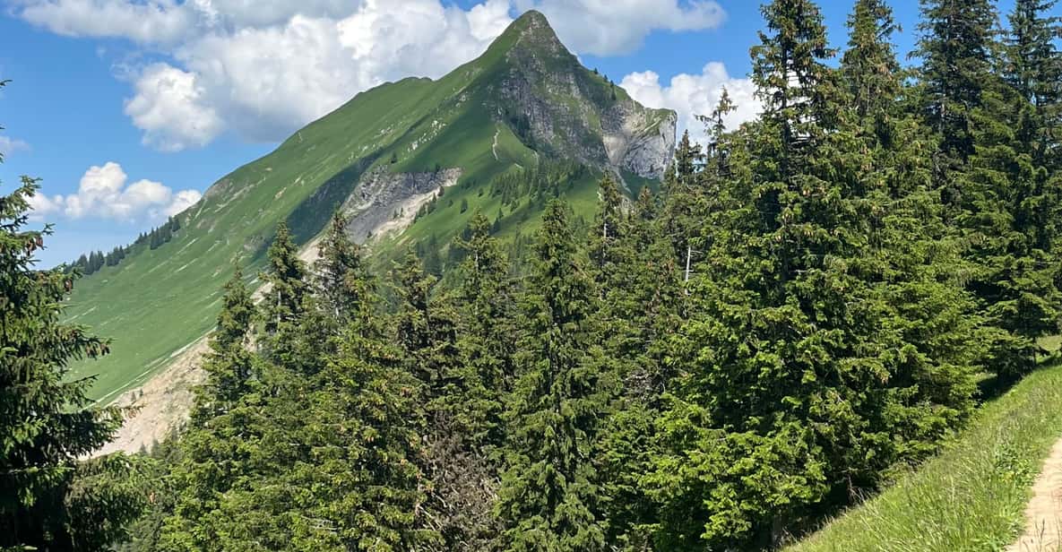 Afbeelding 12 van Interlaken: Top de Augstmatthorn met een Zwitserse triatleet