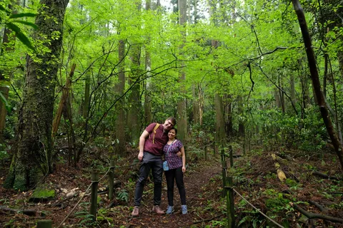 Hakone Hachiri: Old Tokaido Highway Hiking Half-day tour