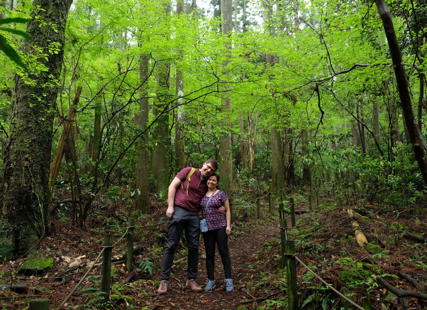Hakone Hachiri: Old Tokaido Highway Hiking Halvdagstur