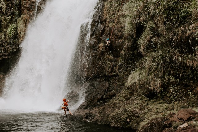Visit Waterfall Rappelling at Kulaniapia Falls in Hilo, Hawaii