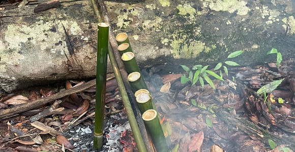 Langkawi: Family Forest Walk, Survival Skills & Bamboo Feast