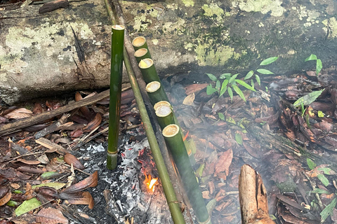 Langkawi: Family Forest Walk, Survival Skills & Bamboo Feast