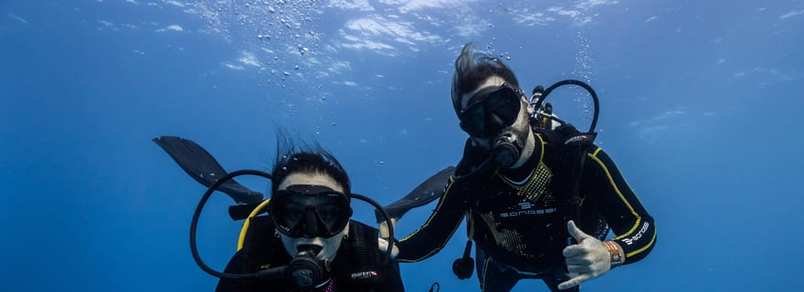 Tenerife - 2 plongées guidées pour plongeurs certifiés - demi-journée