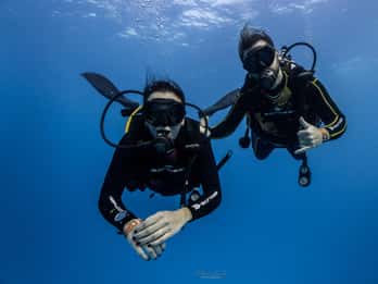 Tenerife - 2 Guided Dives for Certified Divers - Half Day