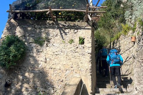 Z Positano: Wycieczka cytrynowa z degustacją i transferem