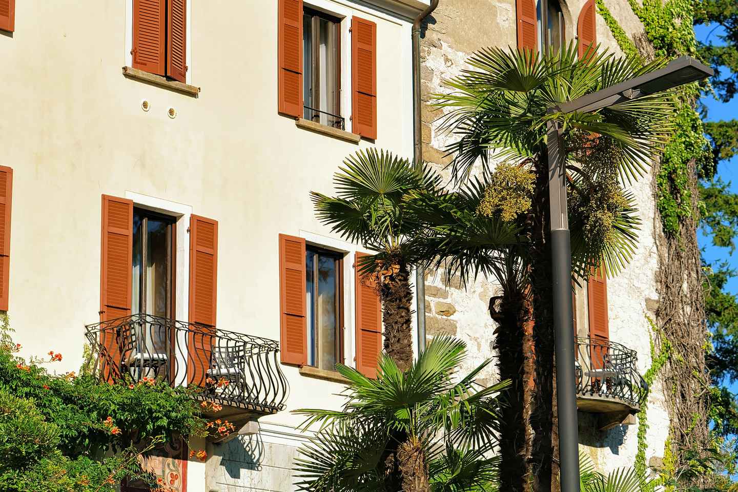Locarno: Express Walk with a Local