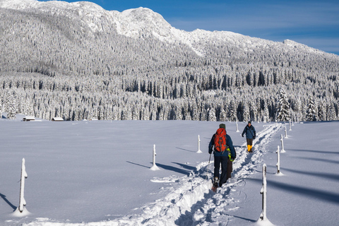 From Ljubljana/Bled: Beginner Snowshoe in Julian Alps From Bled - pickup at your accommodation