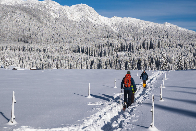 From Ljubljana/Bled: Beginner Snowshoe in Julian Alps From Bled - pickup at your accommodation