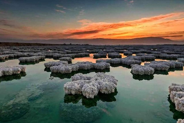 Amman: Dead Sea Full-Day Trip with Scenic Stops