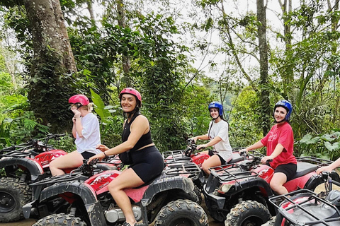 Bali: Dolphin Swimming Tour with ATV Quad Bike & Waterfall Dolphin, Waterfall, Tandem ATV Bike (Central & South Bali)