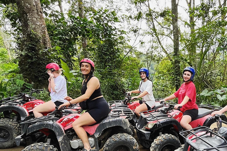 Bali: Dolphin Swimming Tour with ATV Quad Bike & Waterfall Dolphin, Waterfall, Tandem ATV Bike (Central & South Bali)
