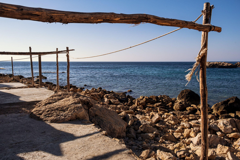 From Valencia: Cala del Moraig Hiking & Beach Trip