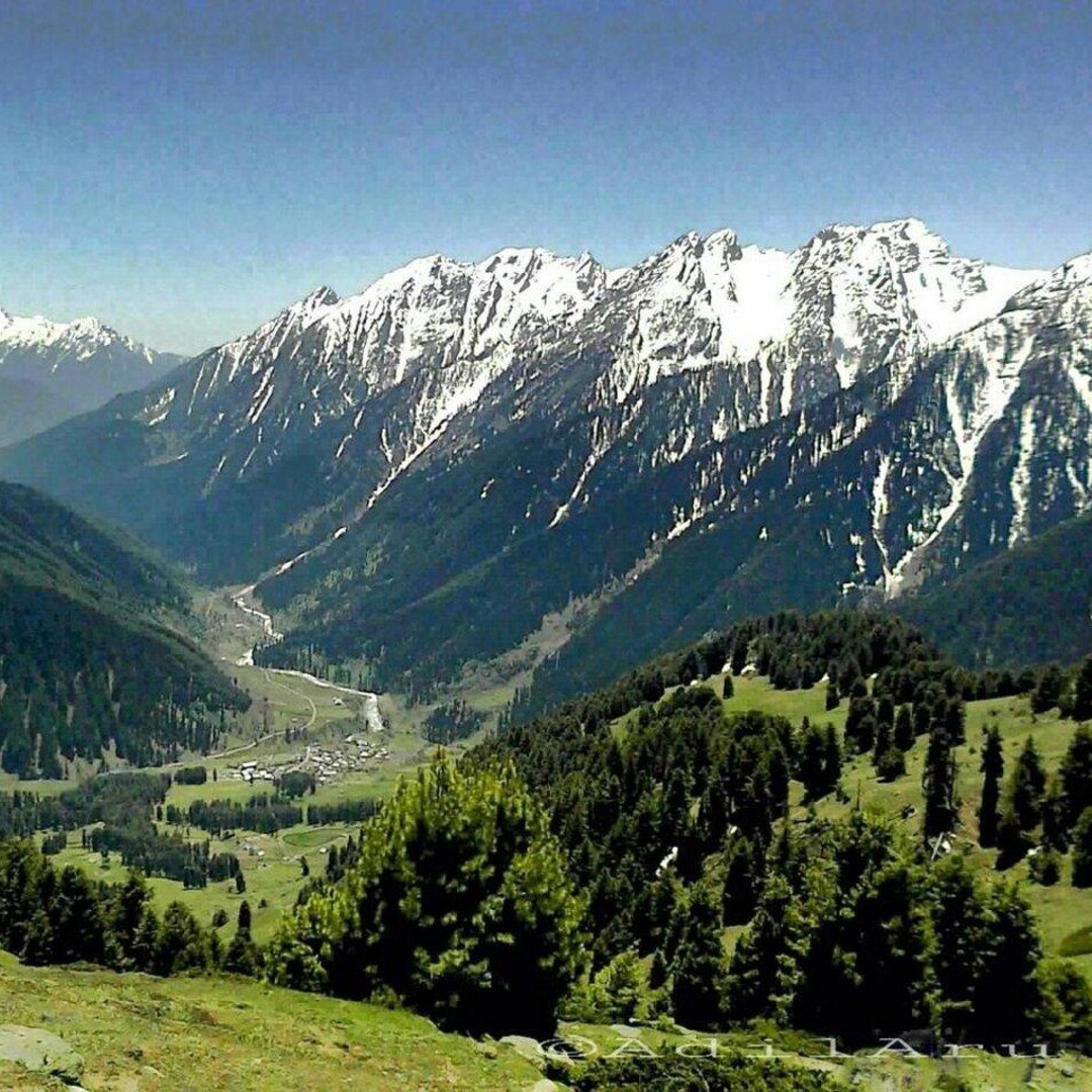 Pahalgam Tour via Saffron Farms & Apple Valley from Srinagar | GetYourGuide