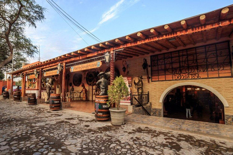 From paracas: Ballestas, Ica & Huacachina Round trip