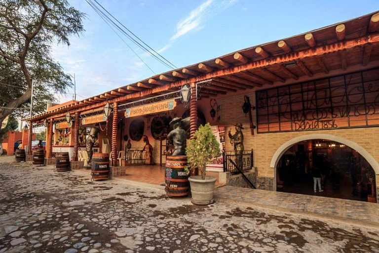 From paracas: Ballestas, Ica & Huacachina Round trip