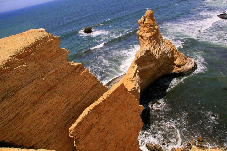 Expédition hors route dans la réserve de Paracas - Buggy ou Quad